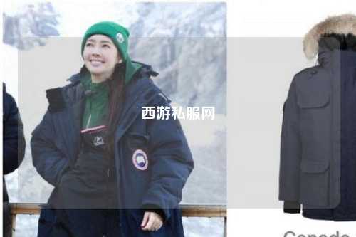 西游私服网